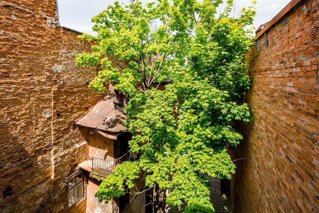 Nice Apartment Near Rynok Square Є Кондиціонер Світла Не Вимикали Lviv Exterior foto